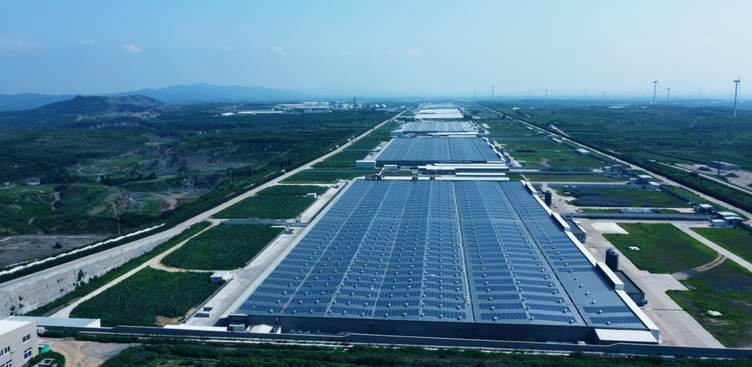 1080-2017年12月 山東蓬萊民和牧業 25MW光伏發電項目 年發電量3000萬度.png